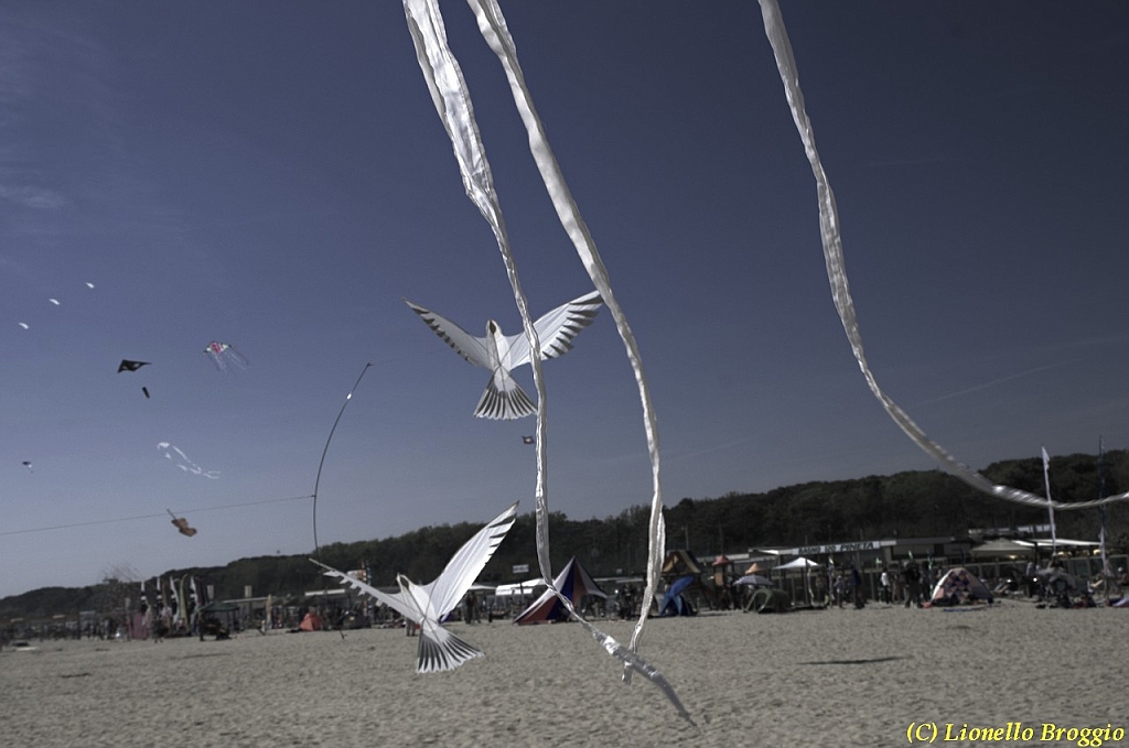 32 FESTIVAL CERVIA 2012 - 177.jpg